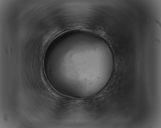 X0000101460097200807141316