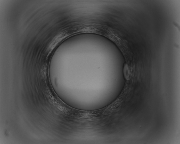 X0000101460098200807141316