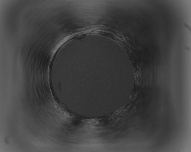 X0000101460100200807141316