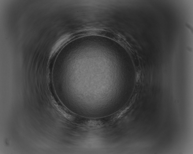 X0000101460101200807141316