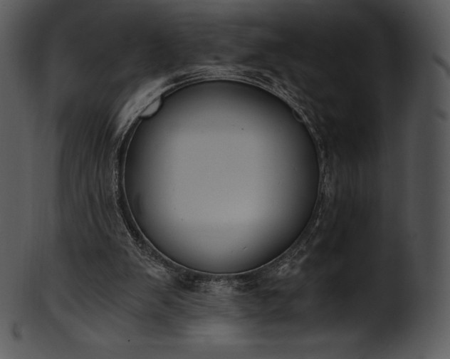 X0000101460103200807141316
