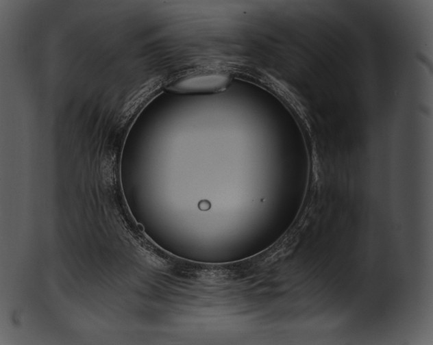 X0000101460105200807141316