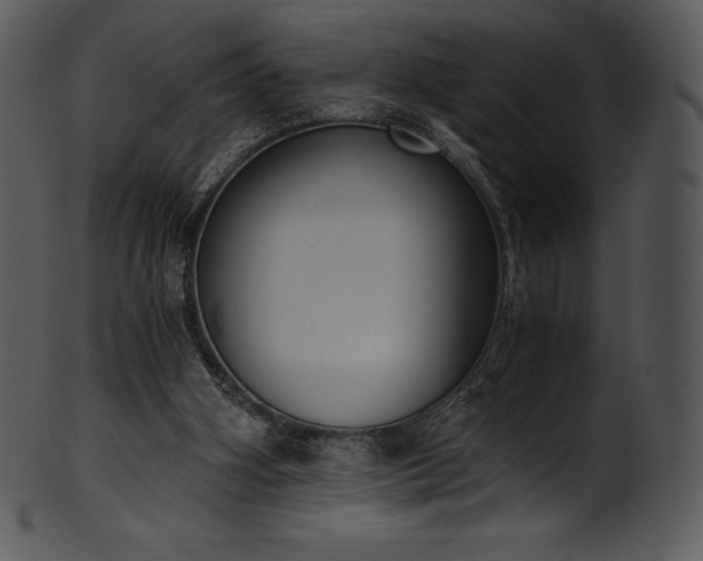 X0000101460106200807141316