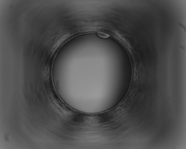 X0000101460107200807141316