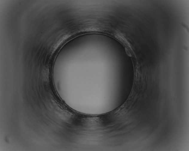 X0000101460108200807141316