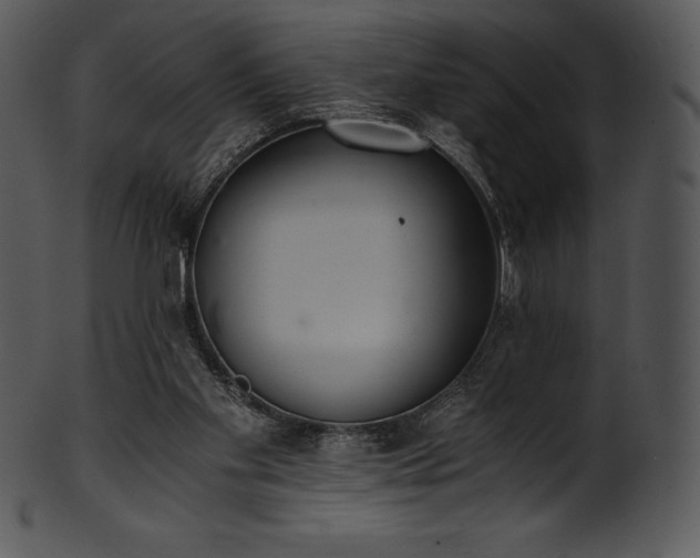 X0000101460109200807141315