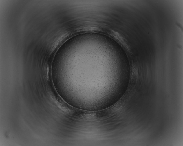 X0000101460110200807141315