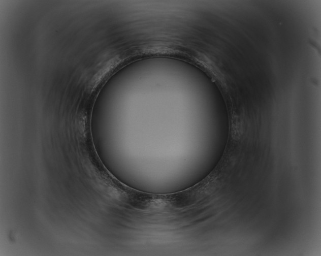 X0000101460111200807141315