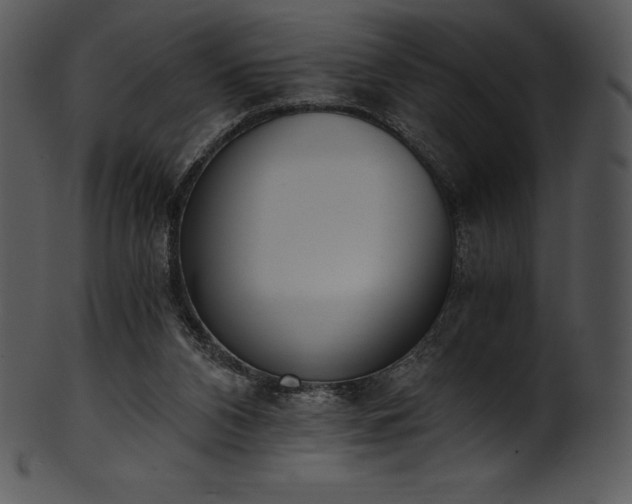 X0000101460112200807141315