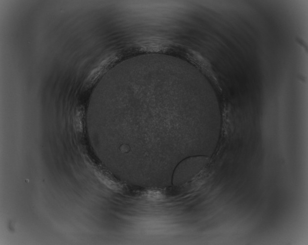 X0000101460114200807141315