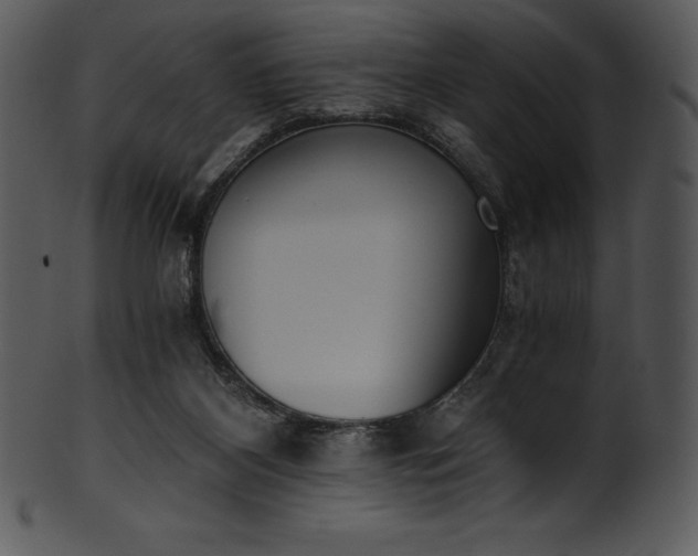 X0000101460116200807141315