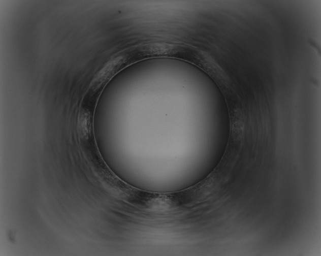 X0000101460119200807141315