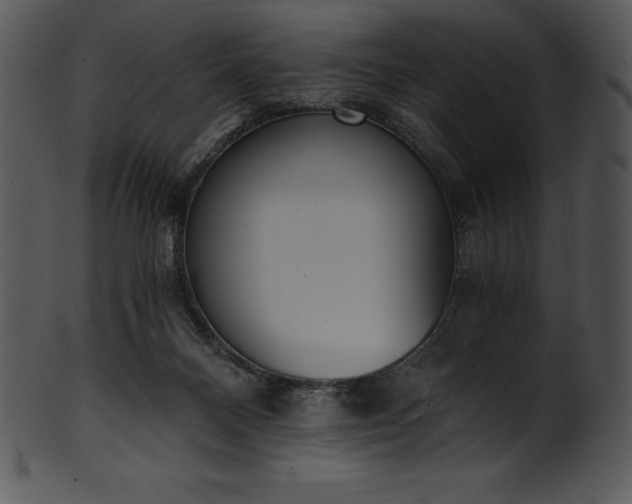 X0000101460120200807141315