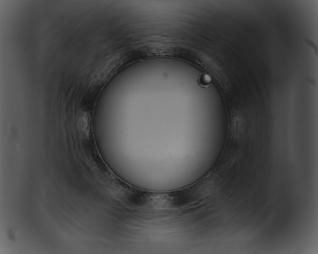X0000101460121200807141315