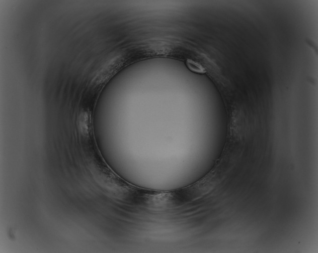 X0000101460122200807141315