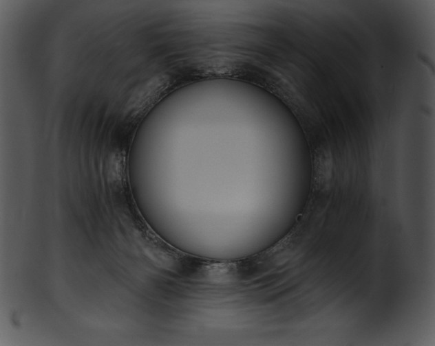 X0000101460126200807141315