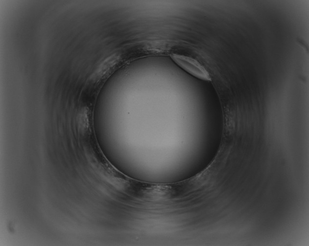 X0000101460128200807141315