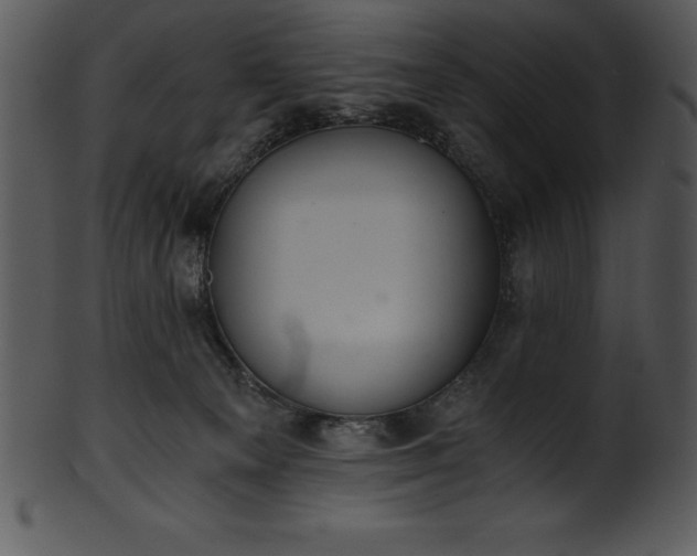 X0000101460129200807141315