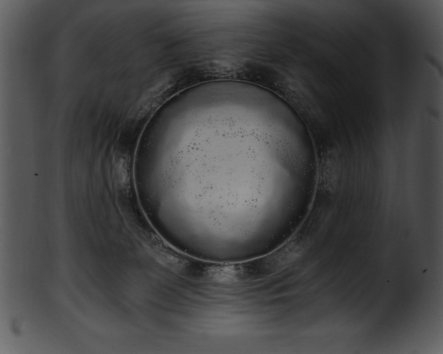 X0000101460131200807141315
