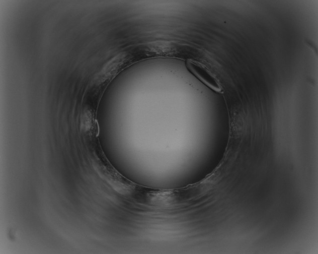 X0000101460132200807141315