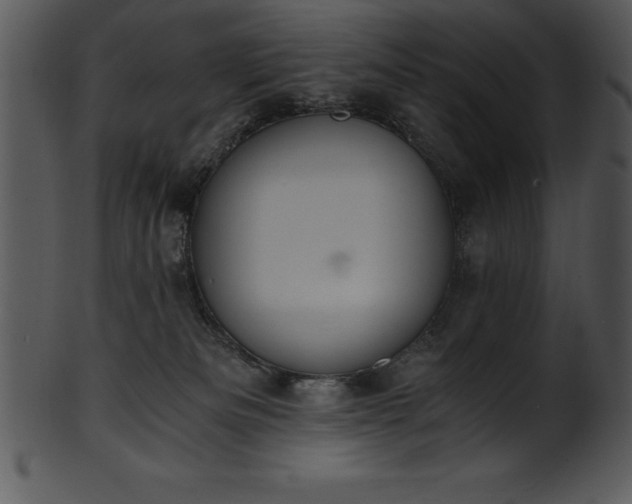 X0000101460133200807141315