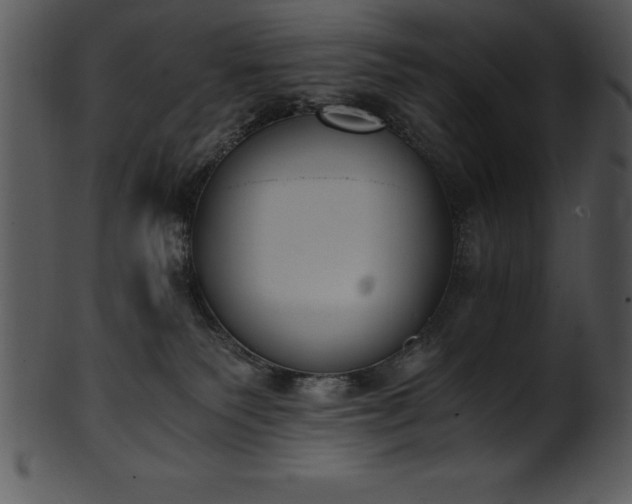 X0000101460135200807141315