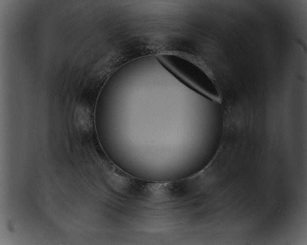 X0000101460136200807141315