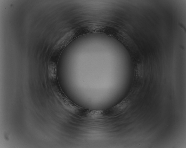 X0000101460138200807141315