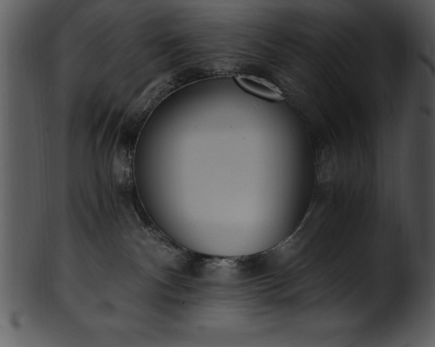 X0000101460140200807141315