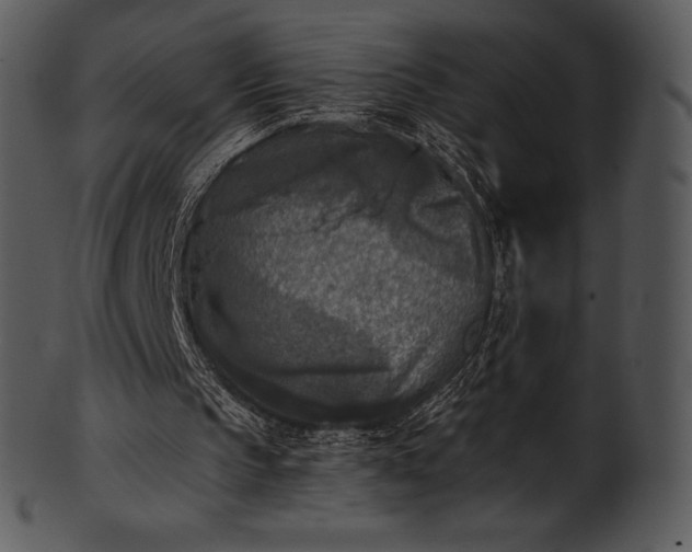 X0000101460145200807141314