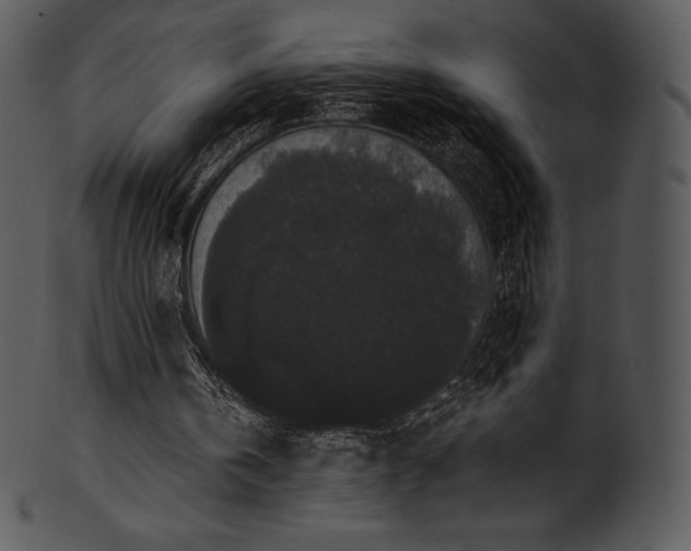 X0000101460146200807141314