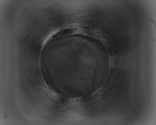 X0000101460147200807141314
