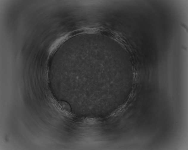 X0000101460149200807141314