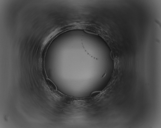 X0000101460150200807141314