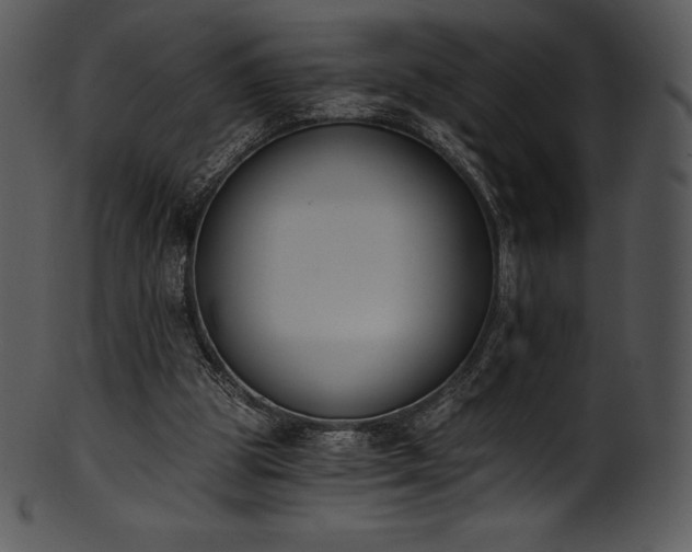 X0000101460153200807141314