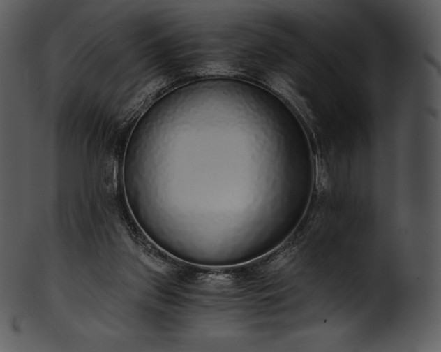 X0000101460157200807141314