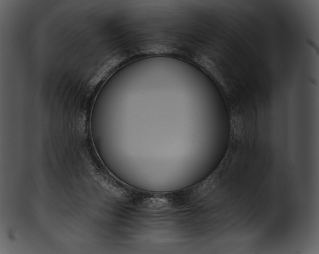 X0000101460159200807141315