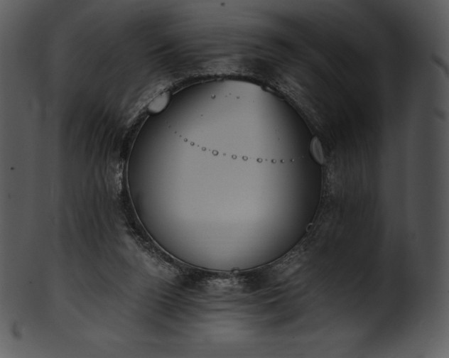 X0000101460160200807141315