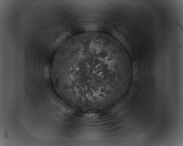 X0000101460161200807141315