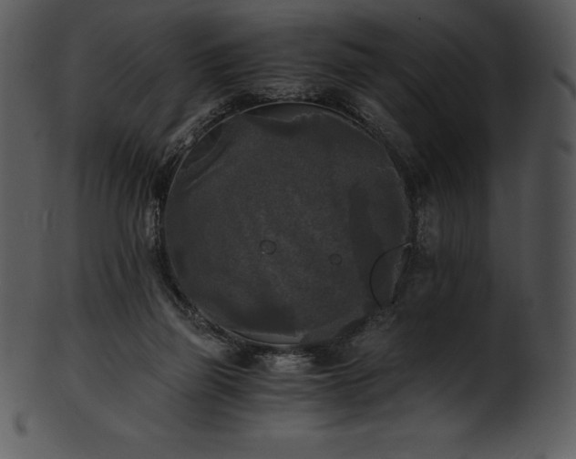 X0000101460165200807141315