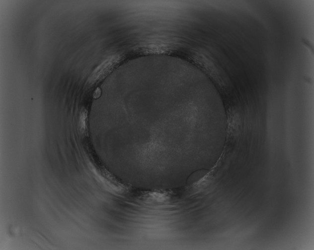 X0000101460166200807141315