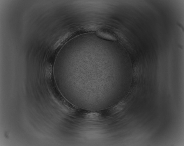 X0000101460168200807141315
