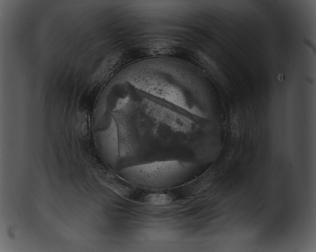 X0000101460169200807141315