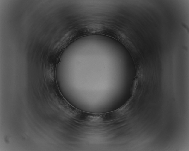 X0000101460170200807141315