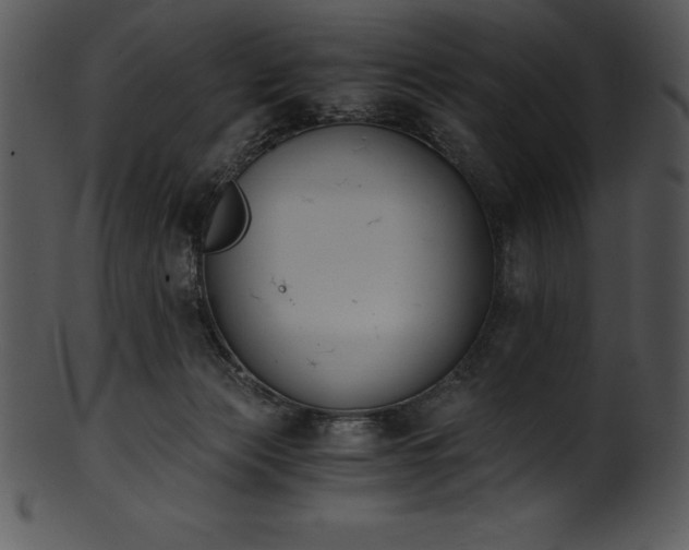 X0000101460173200807141315