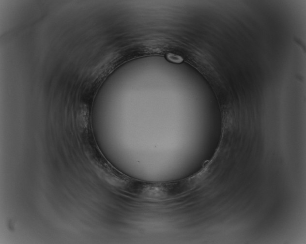X0000101460174200807141315
