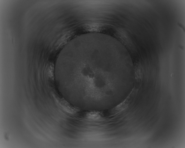 X0000101460175200807141315