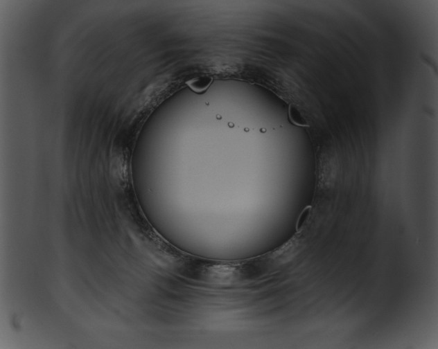 X0000101460176200807141315