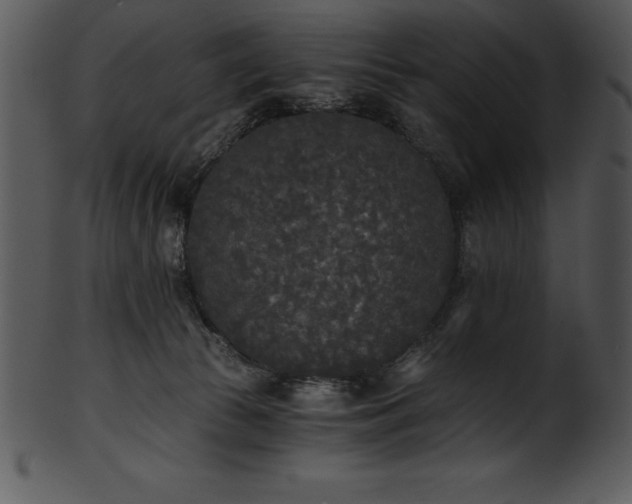 X0000101460177200807141315