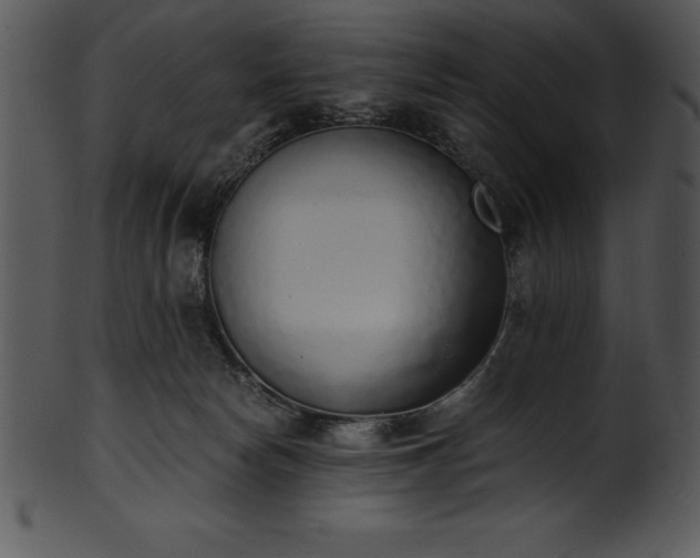 X0000101460178200807141315
